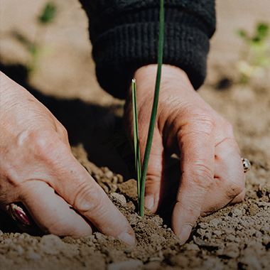 環(huán)境生態(tài)